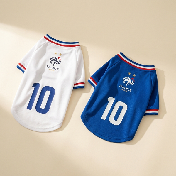 Pet wearing a France-colors mesh soccer jersey on a cream studio background