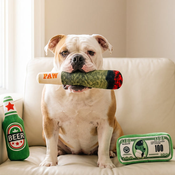 The Bad Influence Bundle