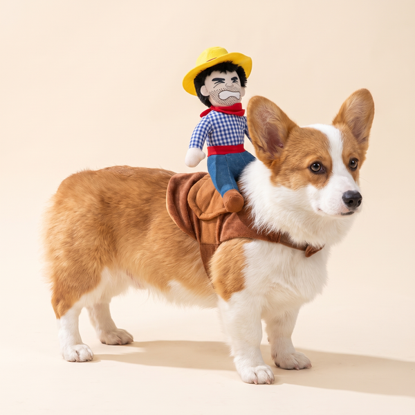 Dog wearing the cowboy jacket and hat costume – Pawsome Plushies