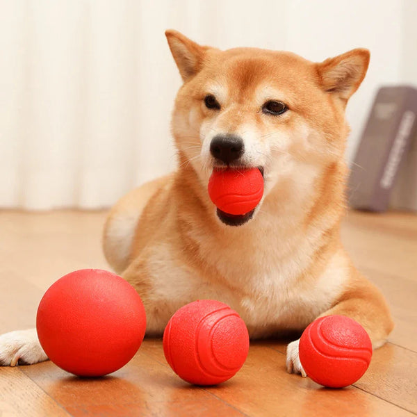 Chew-proof