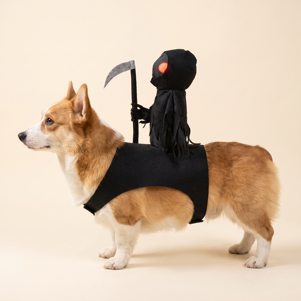 Grim Reaper Rider Pet Costume – Halloween Saddle Outfit