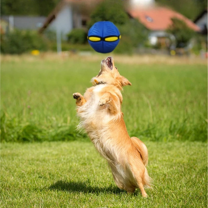 Interactive UFO Ball Dog Toy — Pop-Up Outdoor Fetch & Training Ball