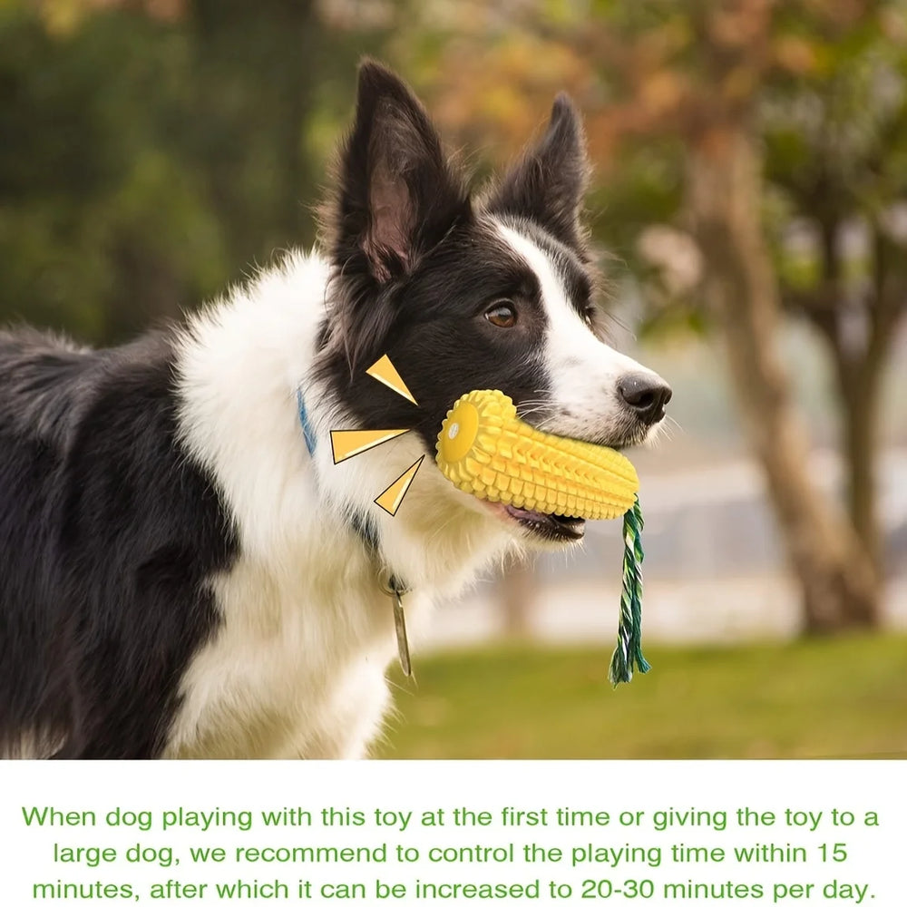 Tough Dog Chew Toy — Durable Squeaky Toy for Aggressive Chewers
