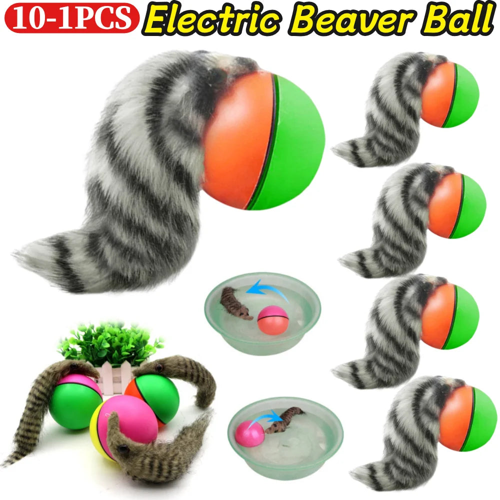 Interactive rolling ball toy for dogs and cats — main product photo