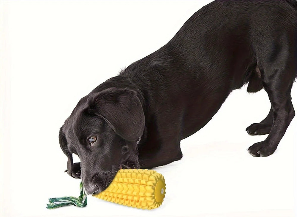 Tough Dog Chew Toy — Durable Squeaky Toy for Aggressive Chewers
