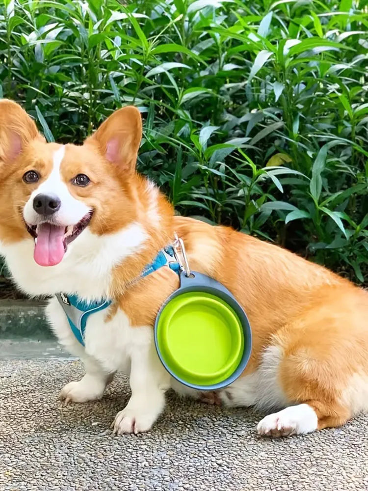 Collapsible Silicone Dog Bowl – Clip-On Travel Bowl for Hikes