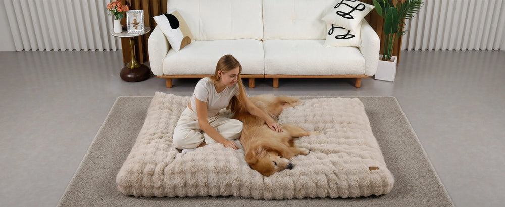Ultra-Plush Crate Mattress – Washable Cushion Pad for Dog Crates