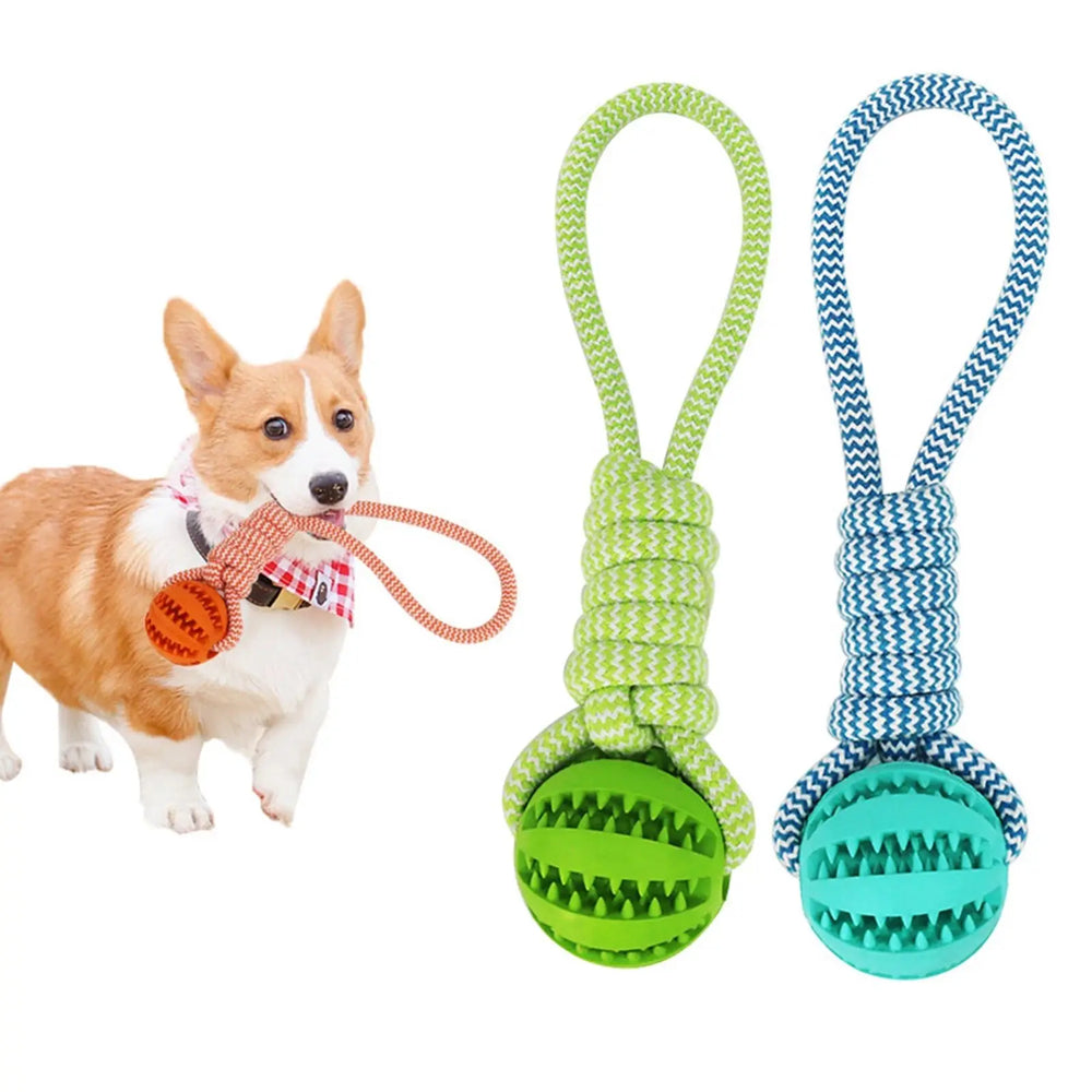 IQ treat ball and rope dog toy — main product photo