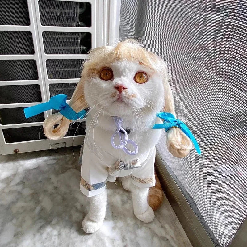 Funny Pet Wigs – Cosplay Costume Hair for Dogs & Cats