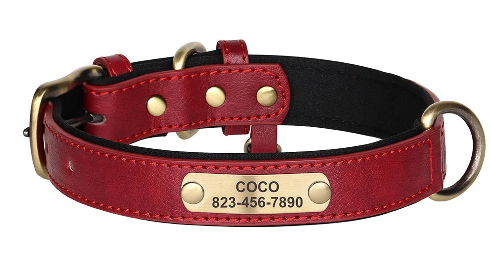 Personalized Leather Dog Collar – Free Custom Engraving