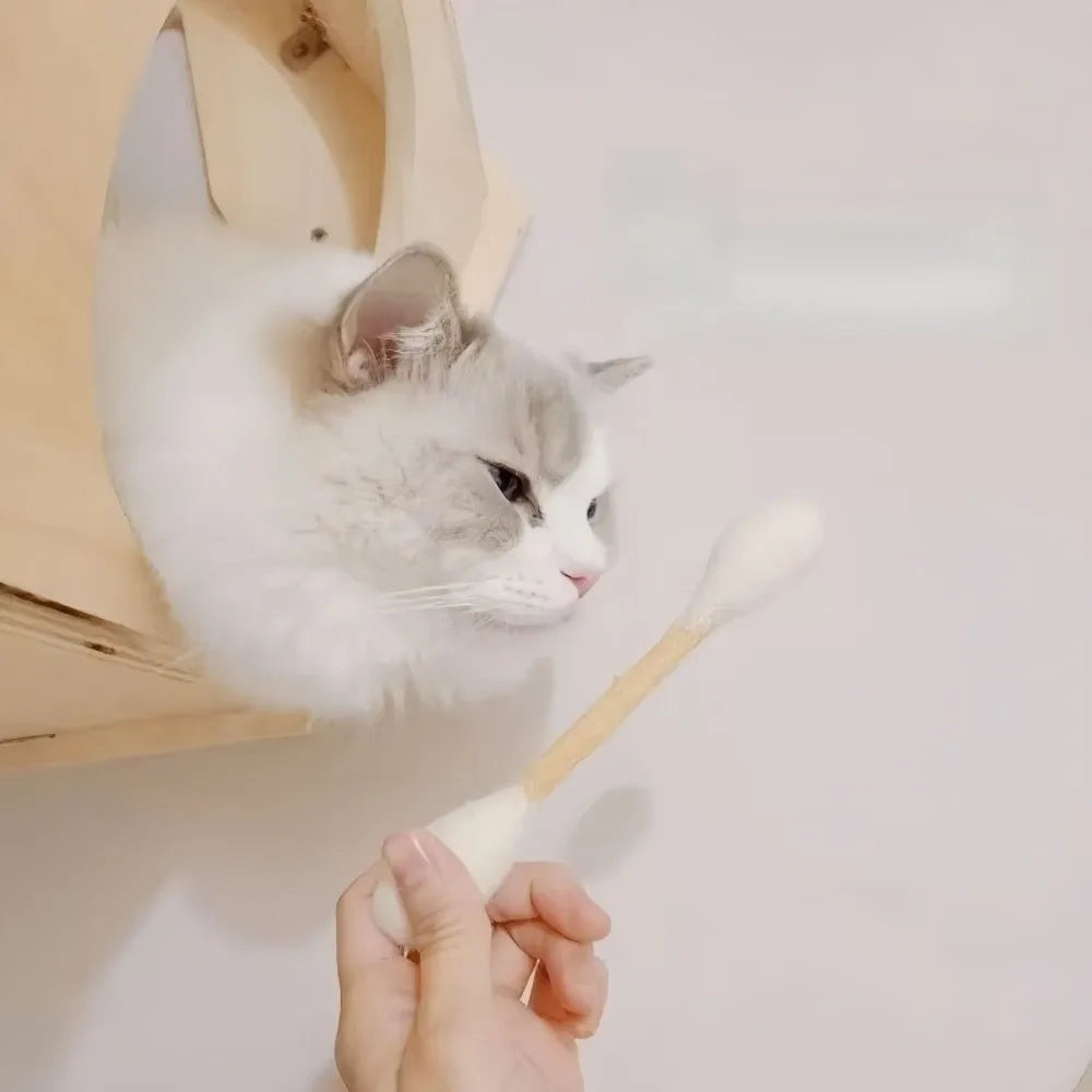 Natural wood cat chew sticks — photo 12