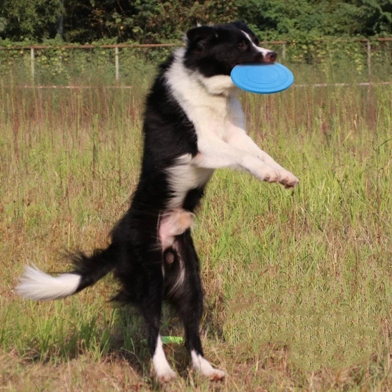 Silicone Flying Disc Dog Toy — Soft Chew-Resistant Flyer for Fetch