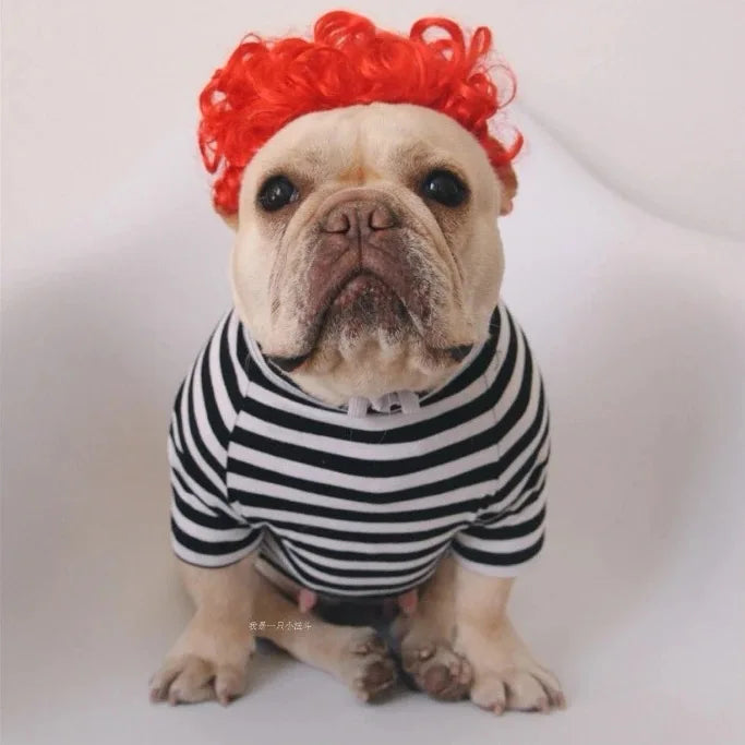 Funny Pet Wigs – Cosplay Costume Hair for Dogs & Cats
