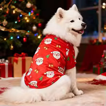 Christmas Dog Shirt – Red v2