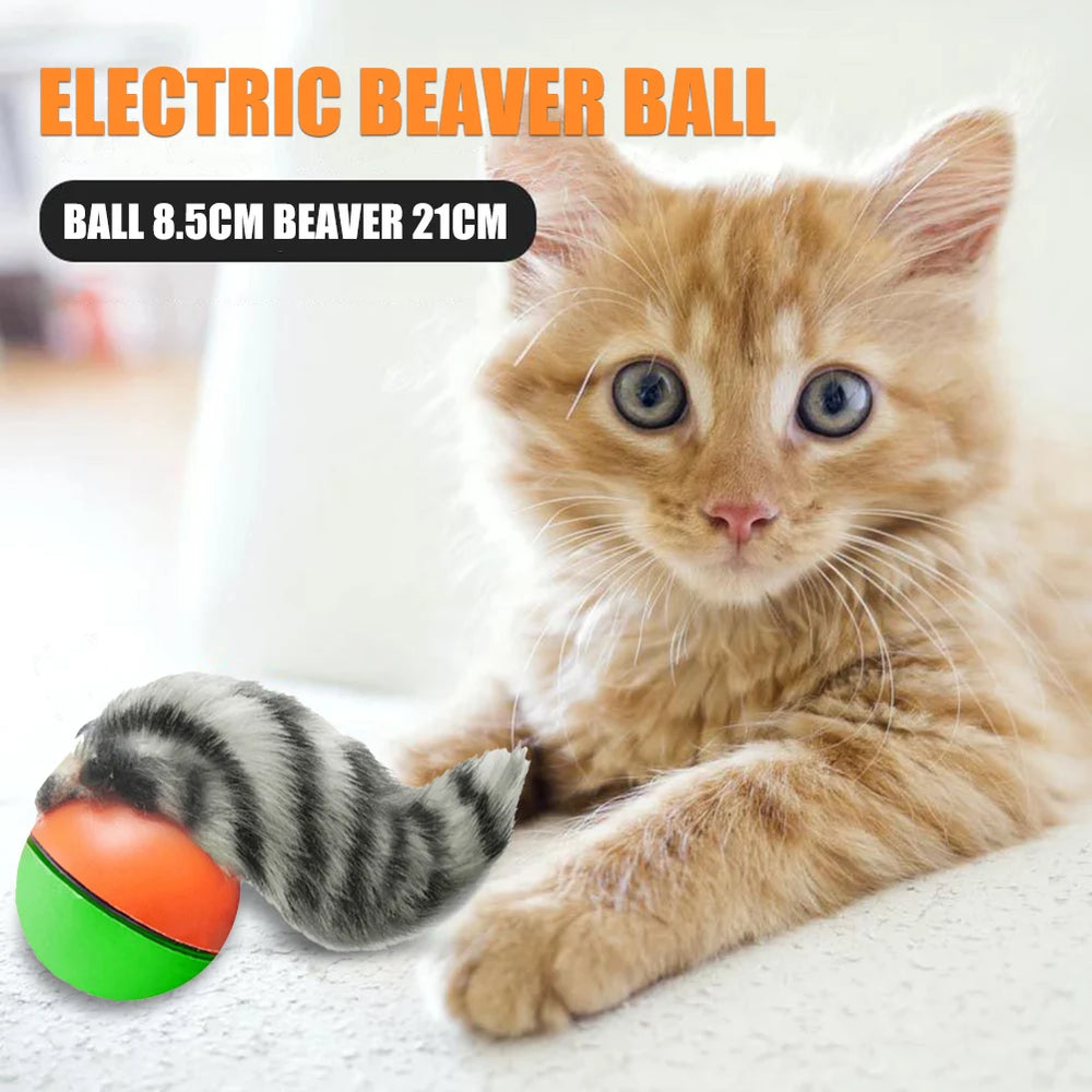 Interactive rolling ball toy for dogs and cats — photo 10