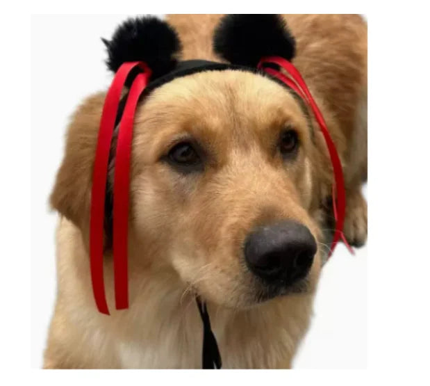 Funny Pet Wigs – Cosplay Costume Hair for Dogs & Cats
