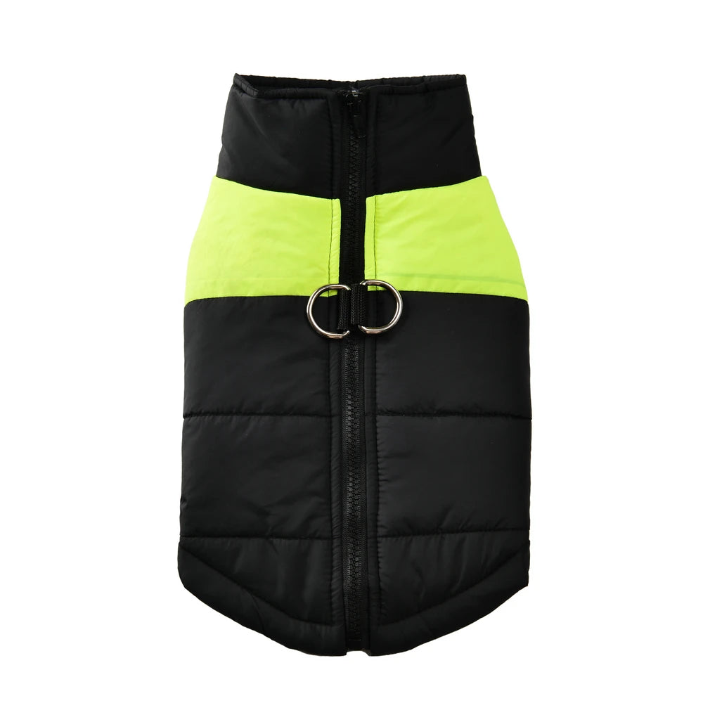 Windproof Winter Dog Jacket — Waterproof Padded Vest with Leash D-Ring