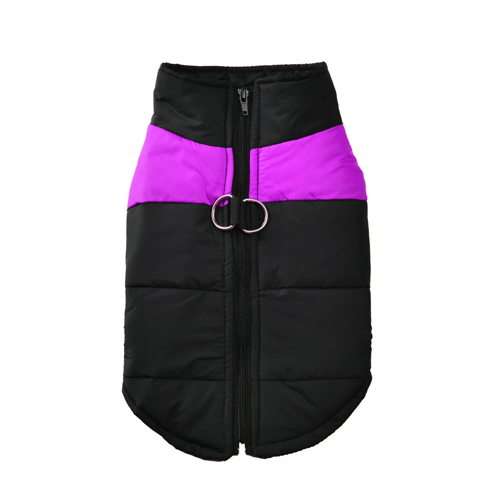 Windproof Winter Dog Jacket — Waterproof Padded Vest with Leash D-Ring