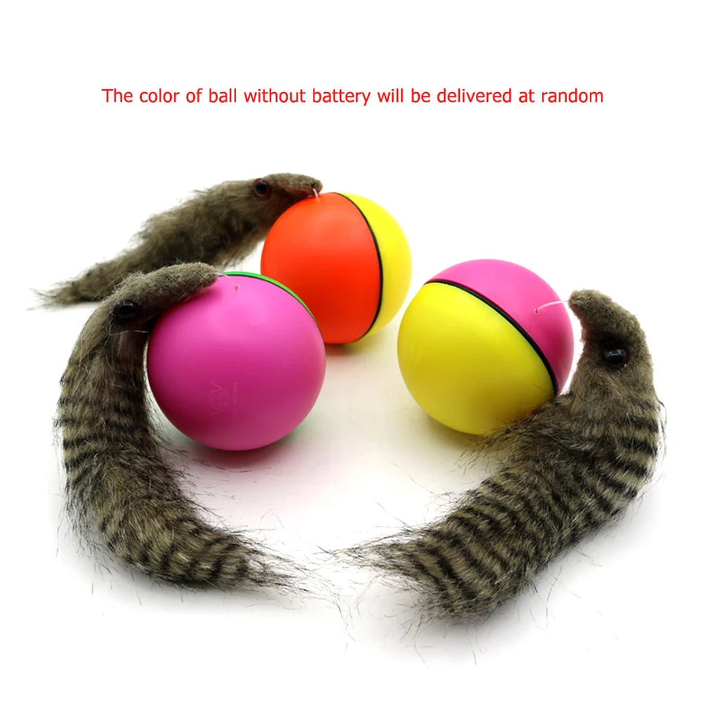 Interactive rolling ball toy for dogs and cats — photo 14