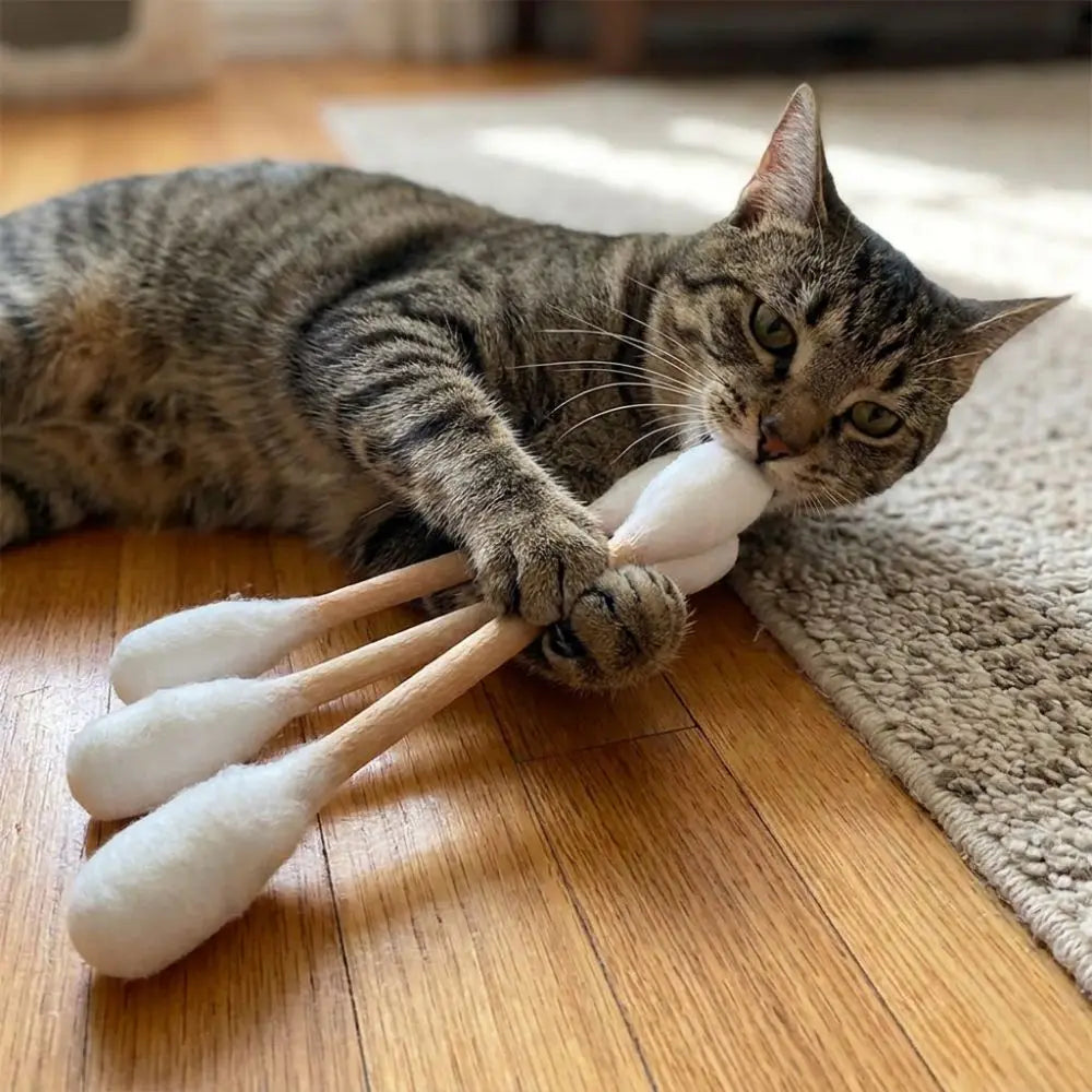 Natural wood cat chew sticks — photo 15