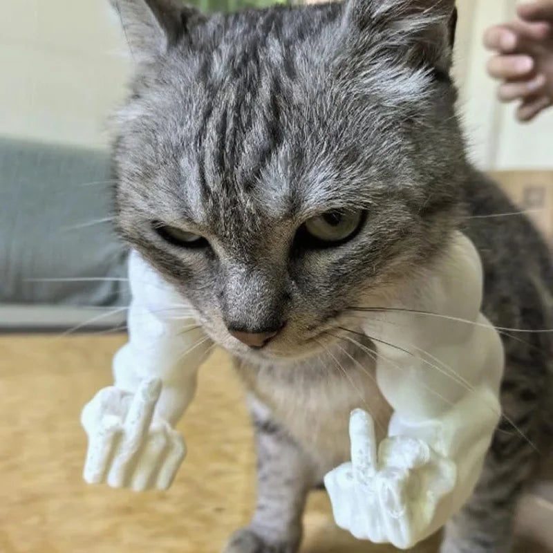 Middle Finger Cat Arm – Funny 3D-Printed Muscle Arm Prop