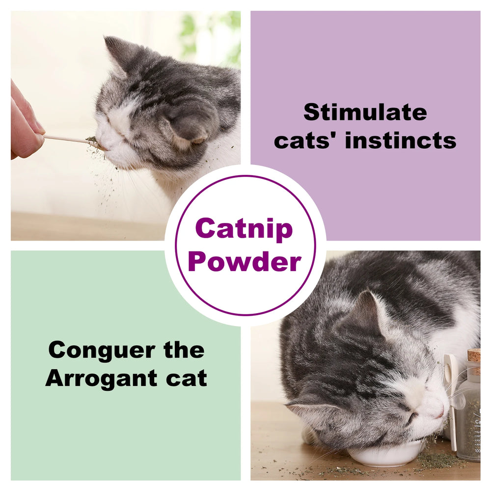 Silvervine powder catnip alternative — photo 3
