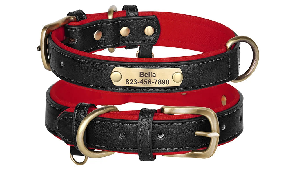 Personalized Leather Dog Collar – Free Custom Engraving