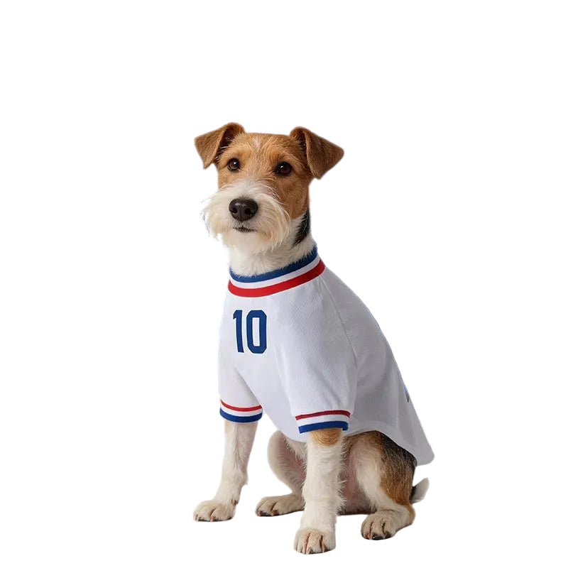France Soccer Pet Jersey — Breathable Mesh World Cup Fan Shirt for Dogs & Cats