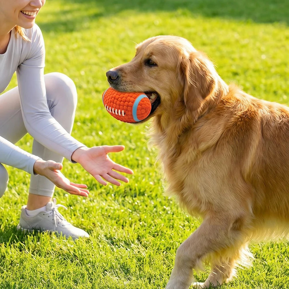 Squeaky Dog Ball — Bite-Resistant Fetch & Teeth-Cleaning Play Ball