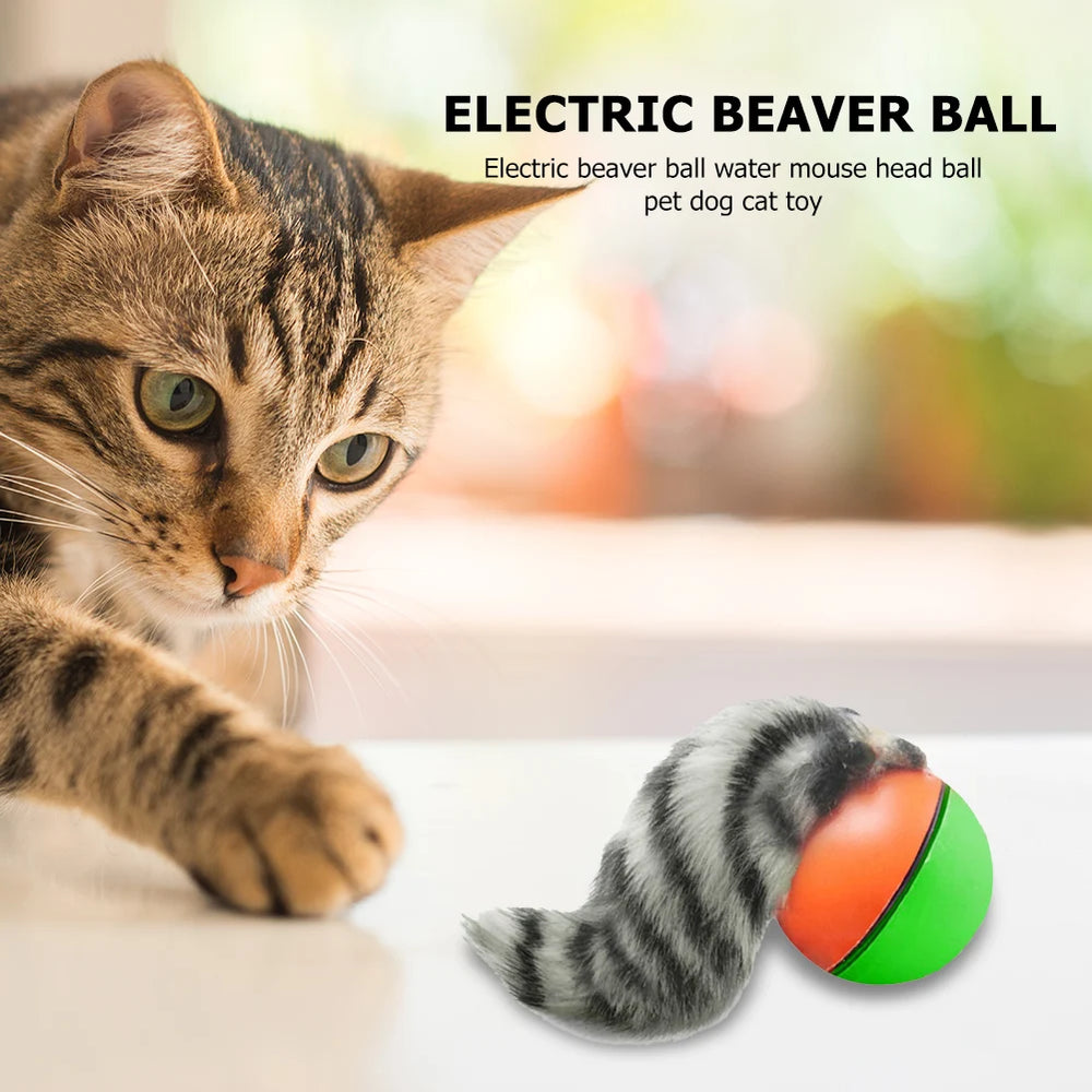 Interactive rolling ball toy for dogs and cats — photo 5
