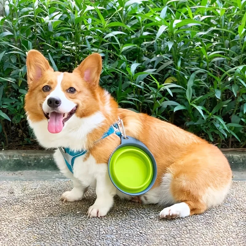 Collapsible Silicone Dog Bowl – Clip-On Travel Bowl for Hikes