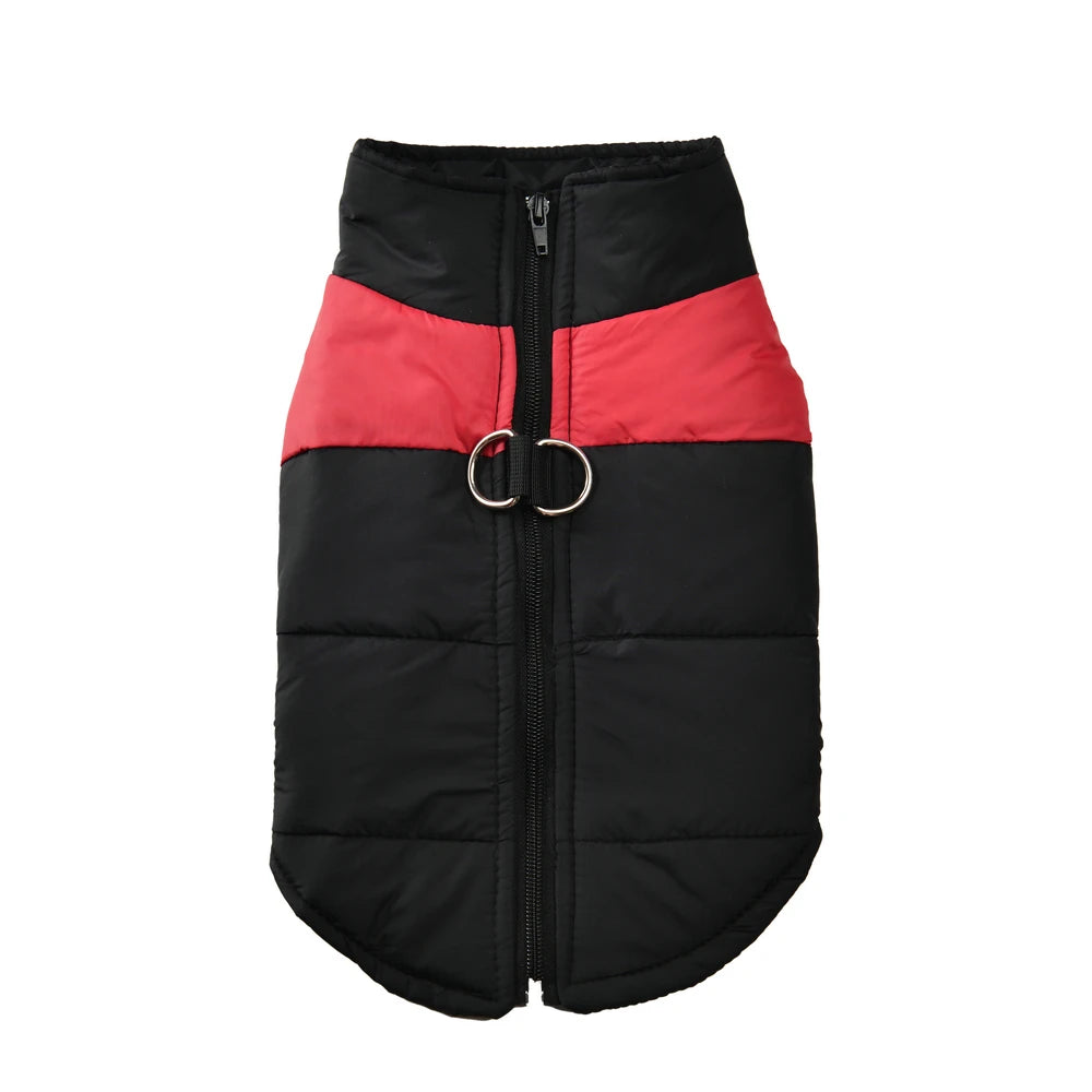 Windproof Winter Dog Jacket — Waterproof Padded Vest with Leash D-Ring