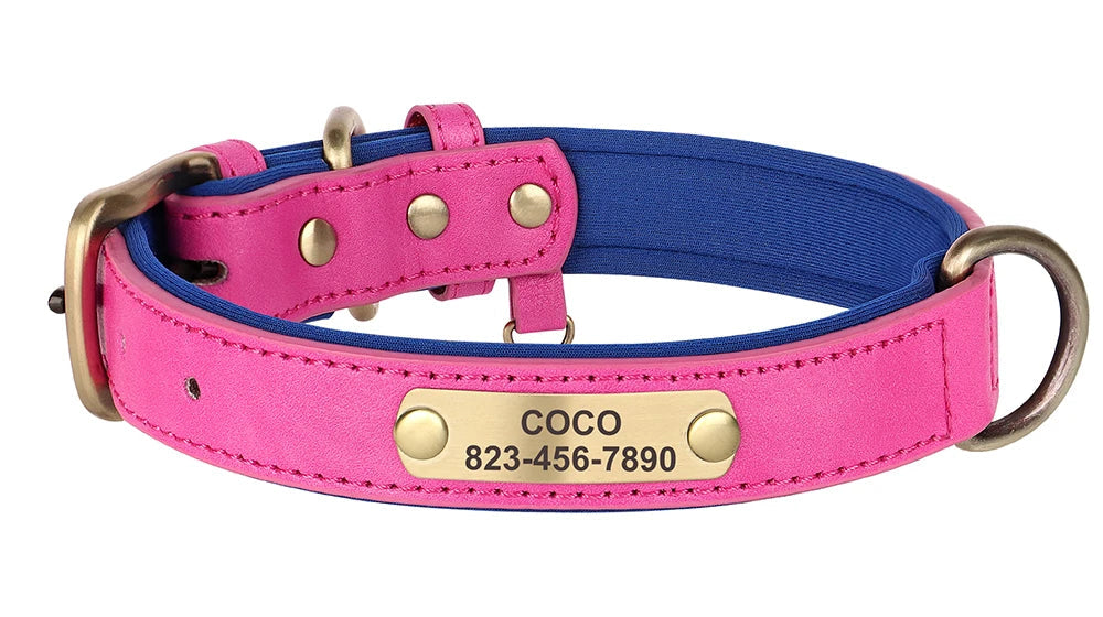 Personalized Leather Dog Collar – Free Custom Engraving