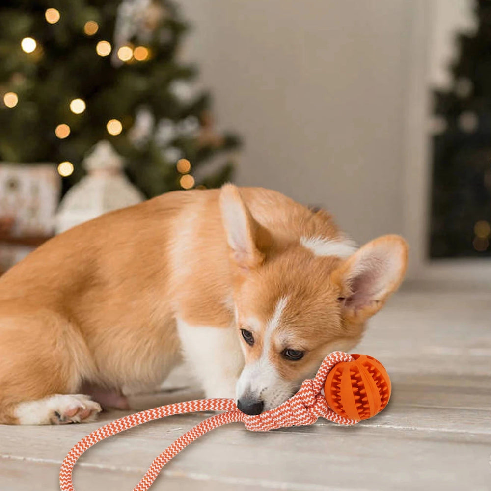 IQ treat ball rope dog toy — photo 14