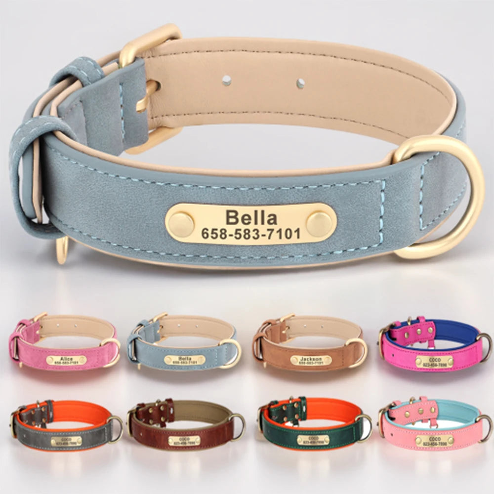 Personalized Leather Dog Collar – Free Custom Engraving