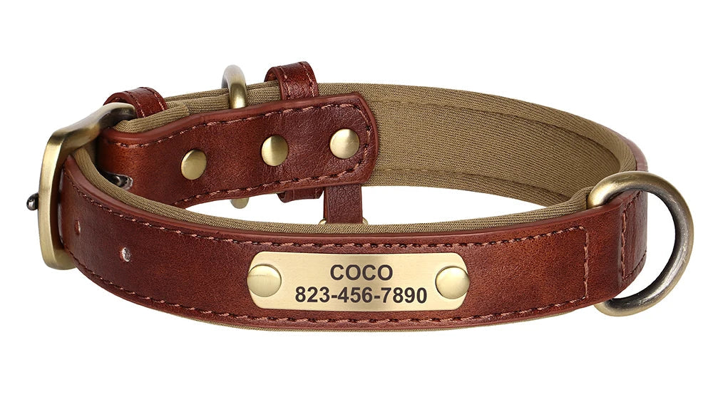 Personalized Leather Dog Collar – Free Custom Engraving