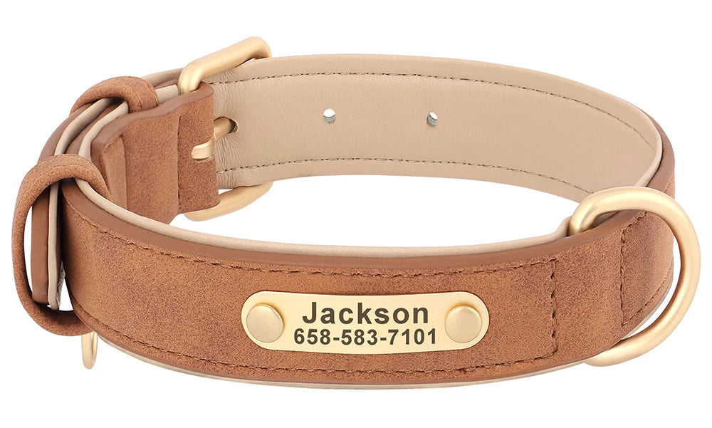 Personalized Leather Dog Collar – Free Custom Engraving