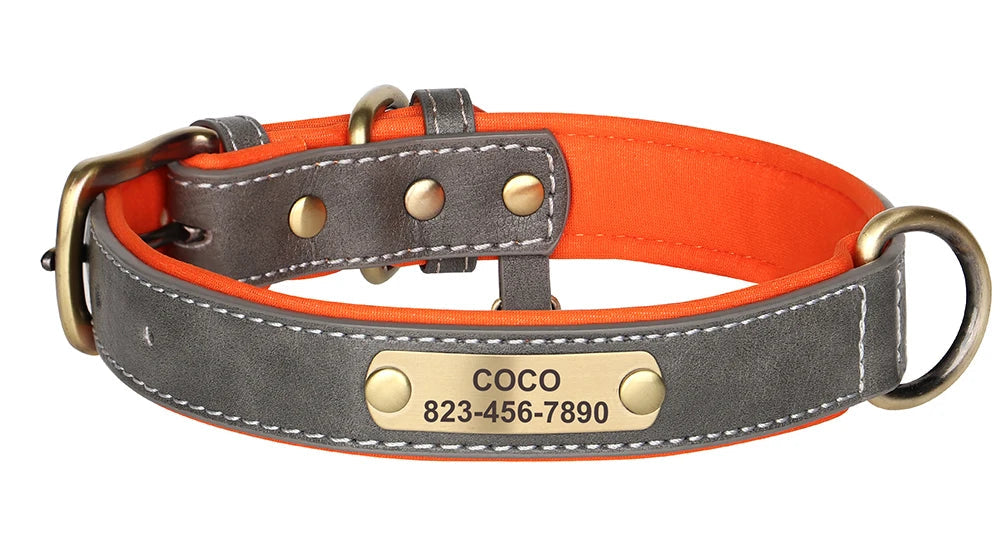 Personalized Leather Dog Collar – Free Custom Engraving