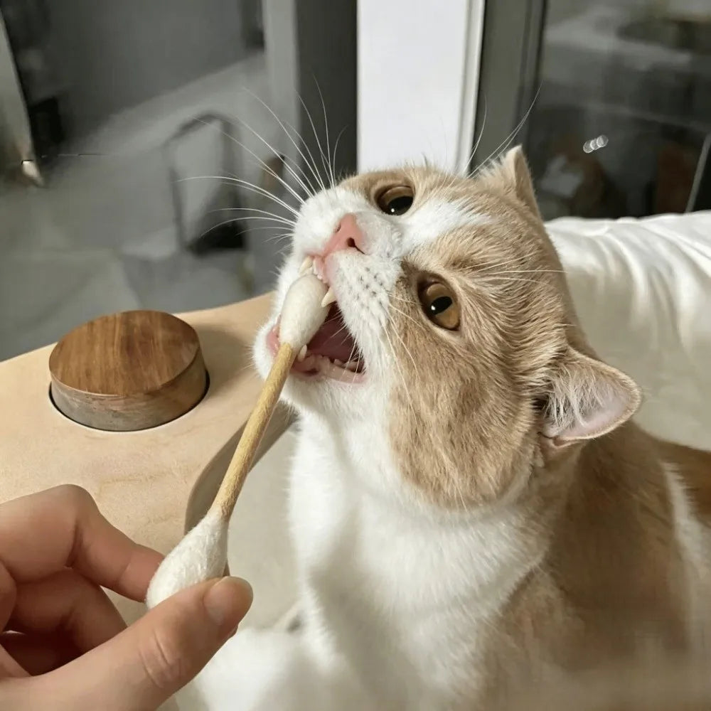 Natural wood cat chew sticks — photo 4