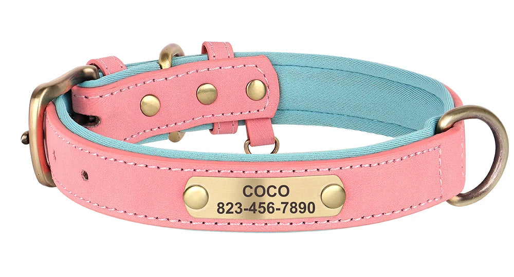 Personalized Leather Dog Collar – Free Custom Engraving