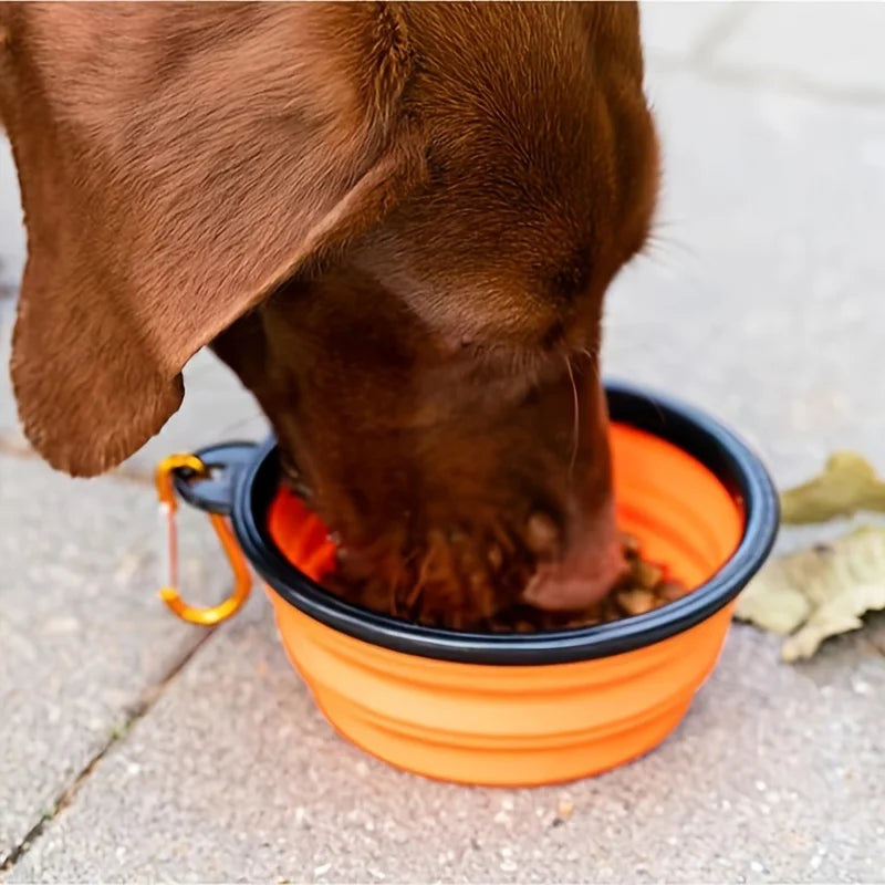 Collapsible Silicone Dog Bowl – Clip-On Travel Bowl for Hikes