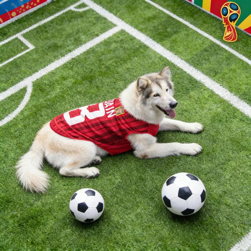 2026 Soccer Dog & Cat Jersey — Quick-Dry Breathable Mesh Football Shirt