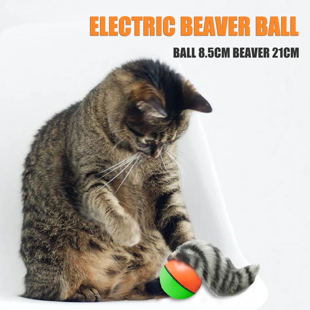 Interactive rolling ball toy for dogs and cats — photo 11