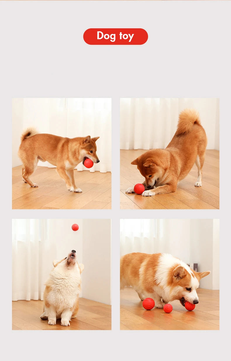 Durable rubber ball dog toy — photo 12