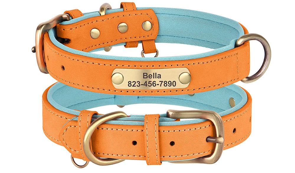 Personalized Leather Dog Collar – Free Custom Engraving