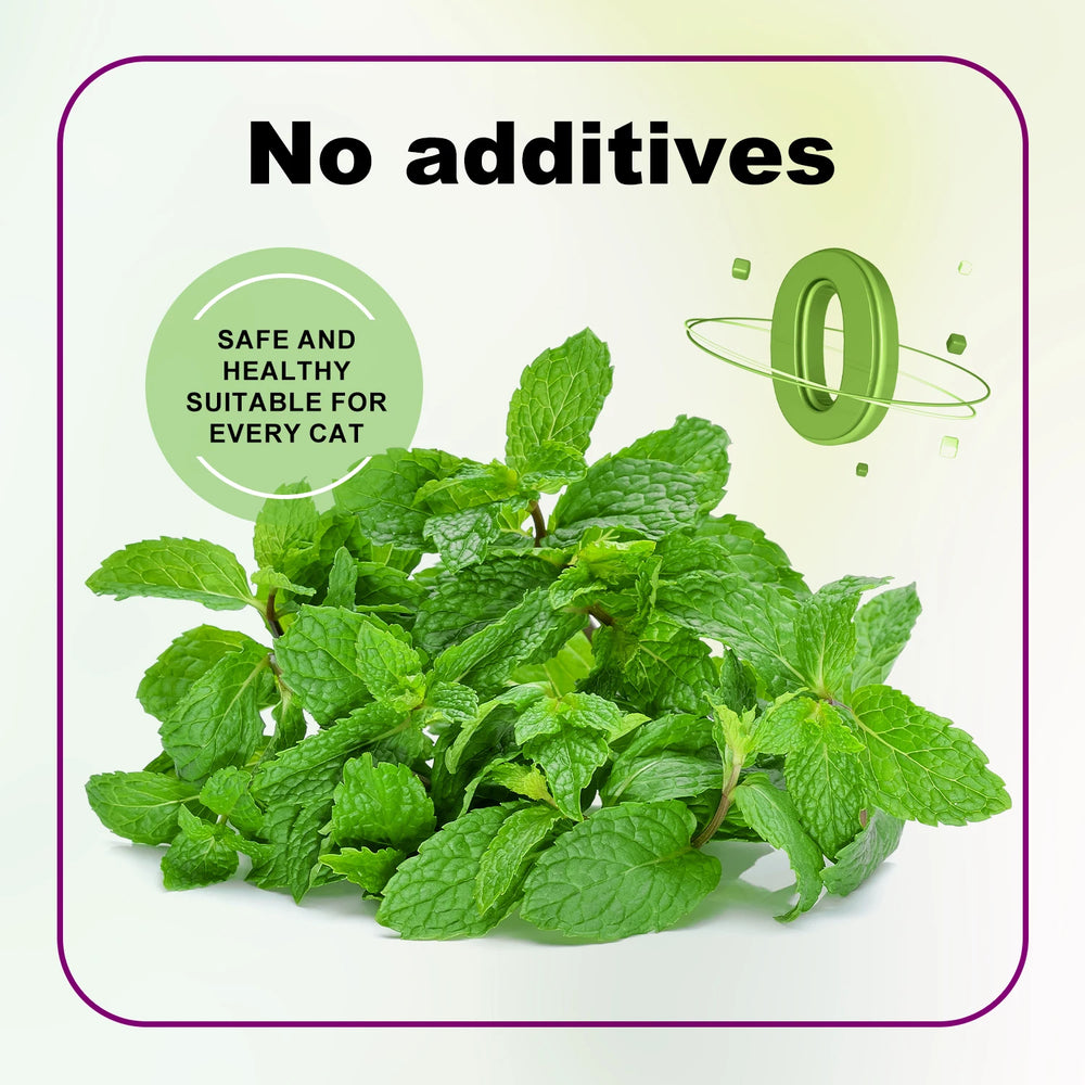 Silvervine powder catnip alternative — photo 5