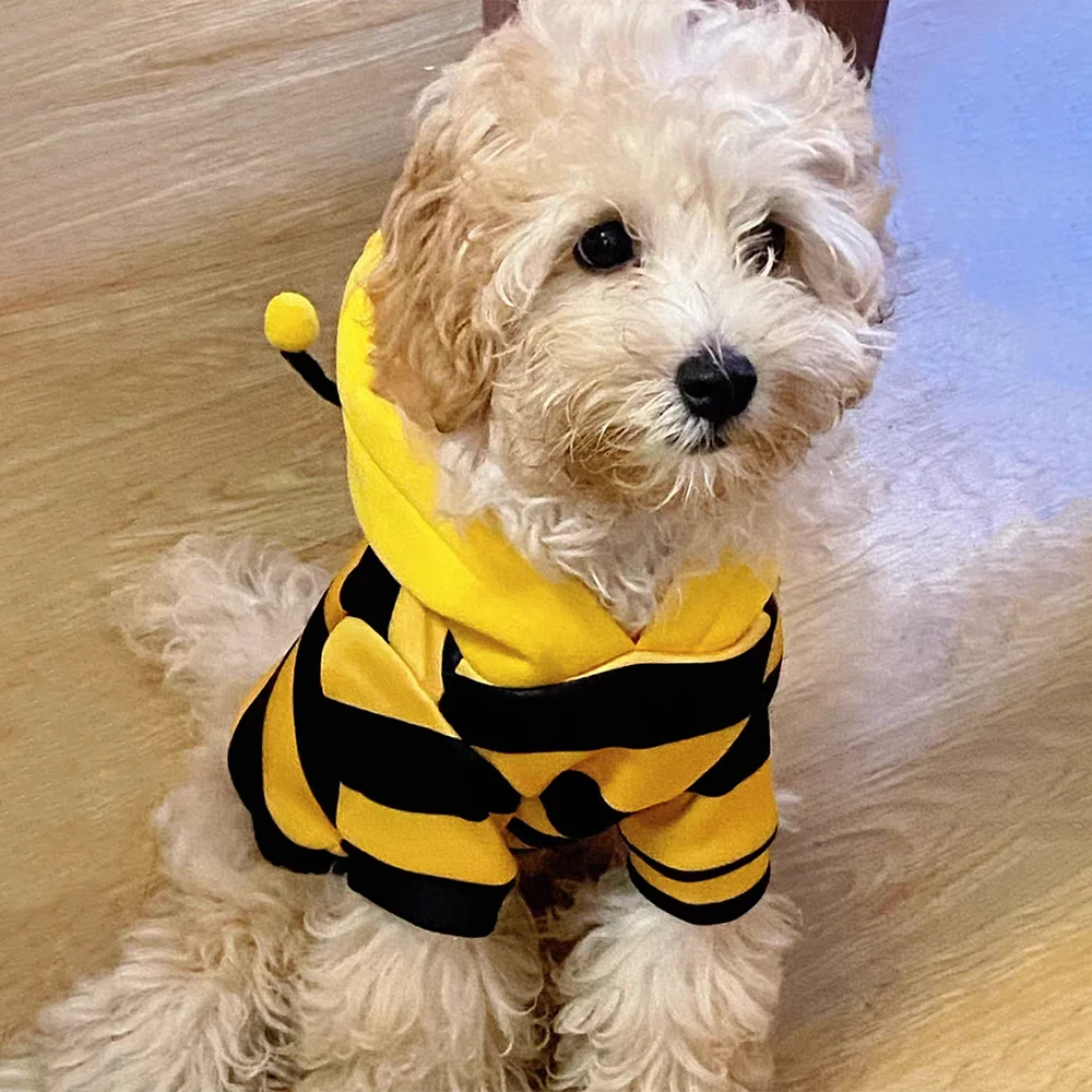 Bee Costume Dog & Cat Hoodie — Warm Cosplay Sweater for Pets