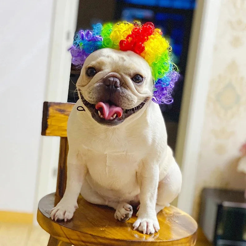Funny Pet Wigs – Cosplay Costume Hair for Dogs & Cats