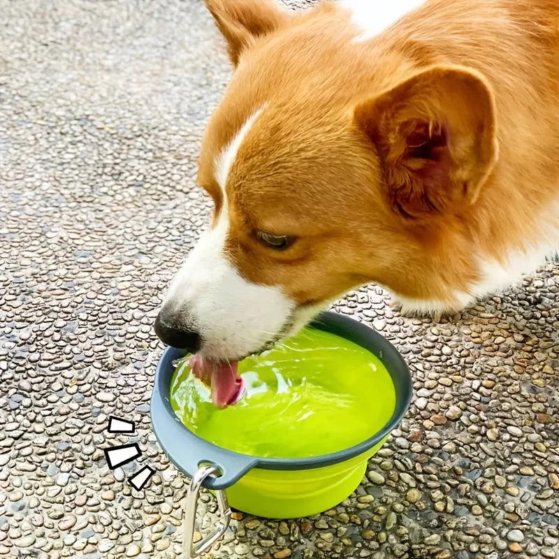 Collapsible Silicone Dog Bowl – Clip-On Travel Bowl for Hikes