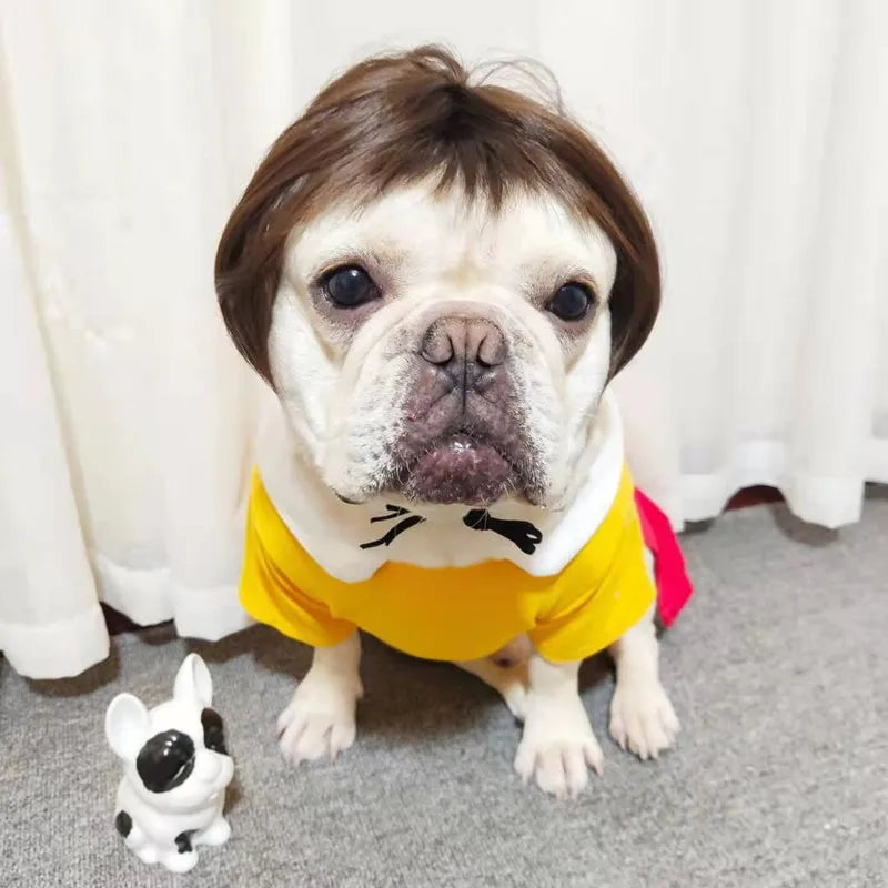 Funny Pet Wigs – Cosplay Costume Hair for Dogs & Cats